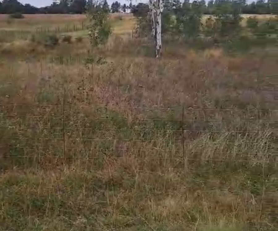 0 Bedroom Property for Sale in Lindequesdrif North West